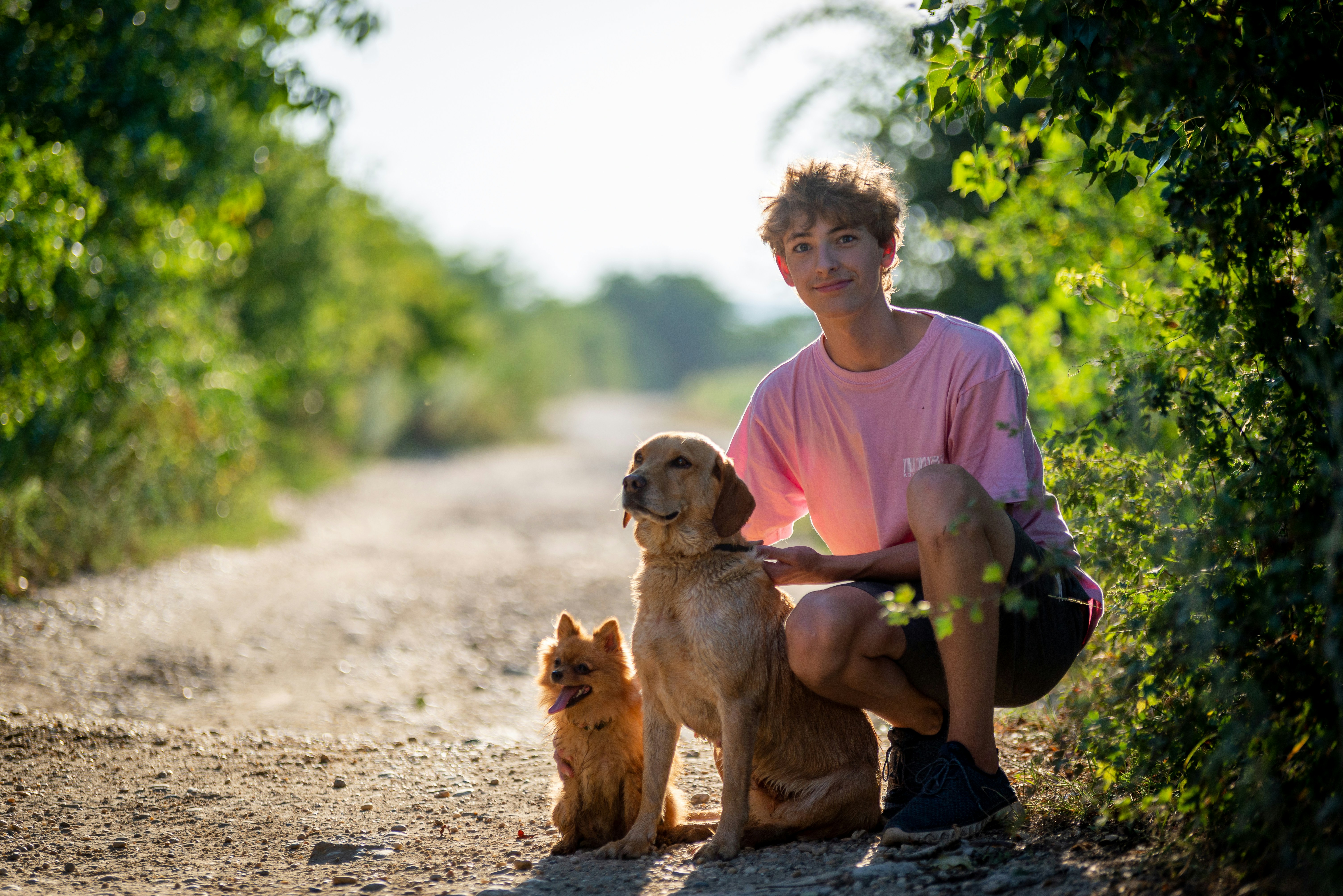 热推内容封面图1